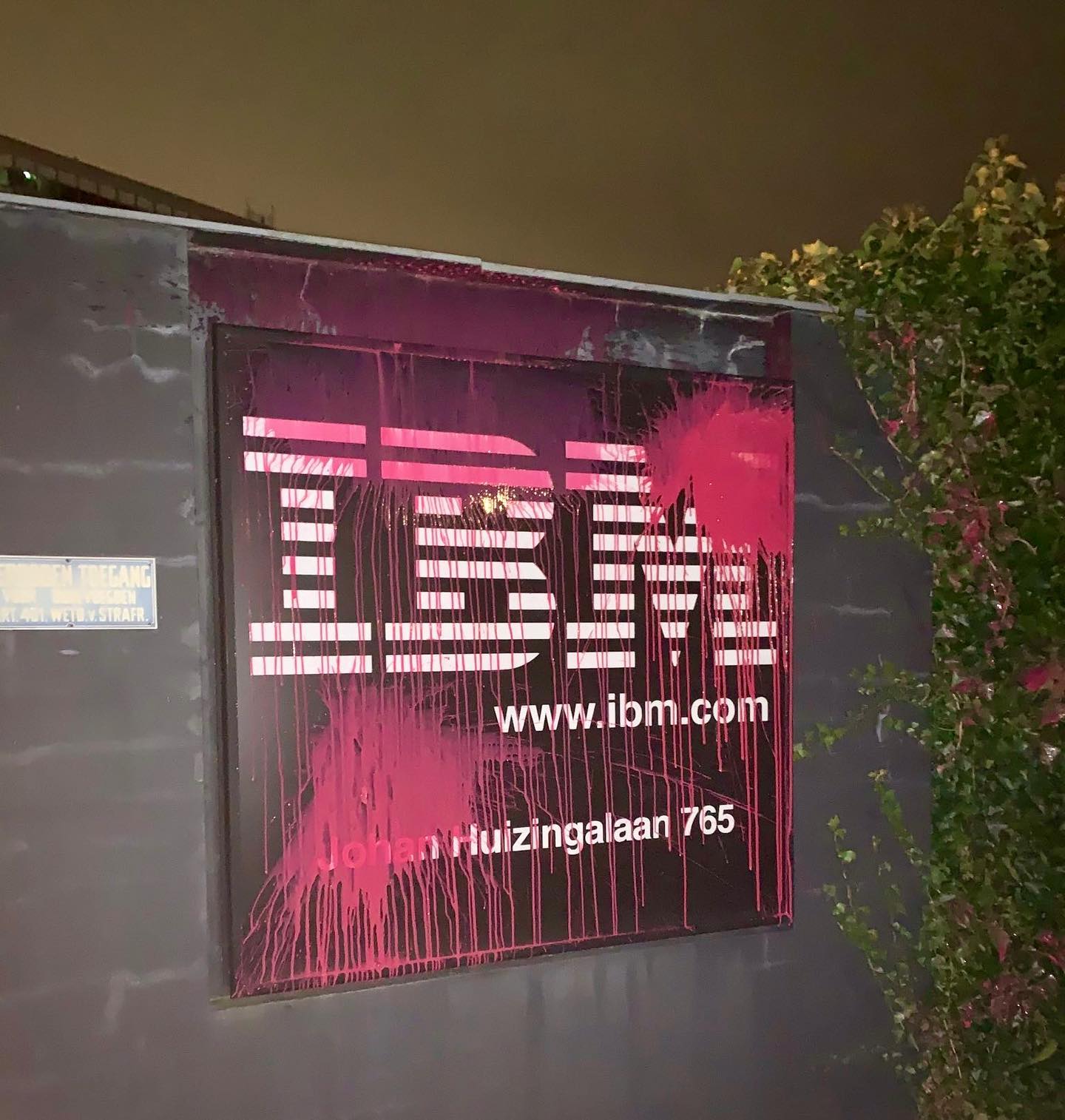 'Een stenen muur met daarop een plant en een plakkaat met daarop in witte letters het logo, website-adres en locatie van het bedrijf IBM.'