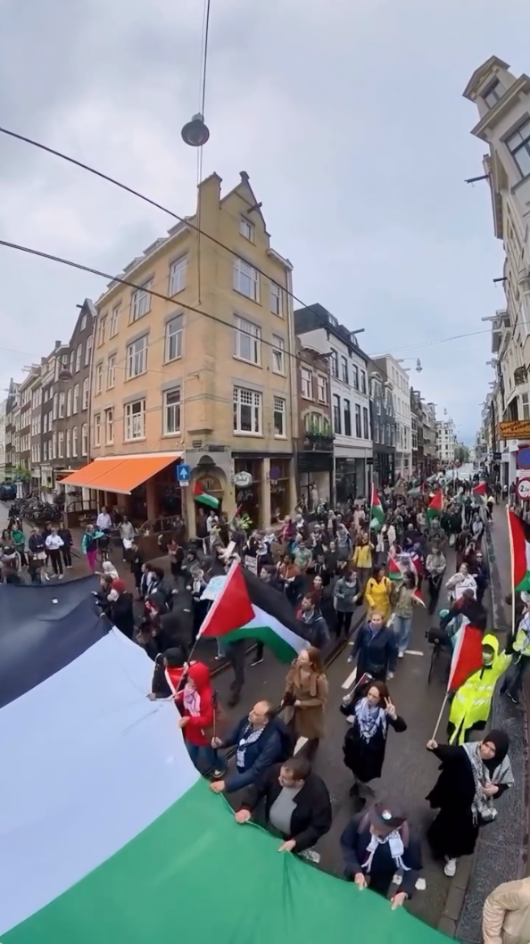 Op een grauwe dag loopt in een straat in Amsterdam een menigte mensen met Palestijnse vlaggen. Velen dragen keffiyeh. Aan de onderzijde van het beeld is het uiteinde van een tenminste zes meter brede Palestijnse vlag te zien, die door meerdere mensen samen gedragen wordt.